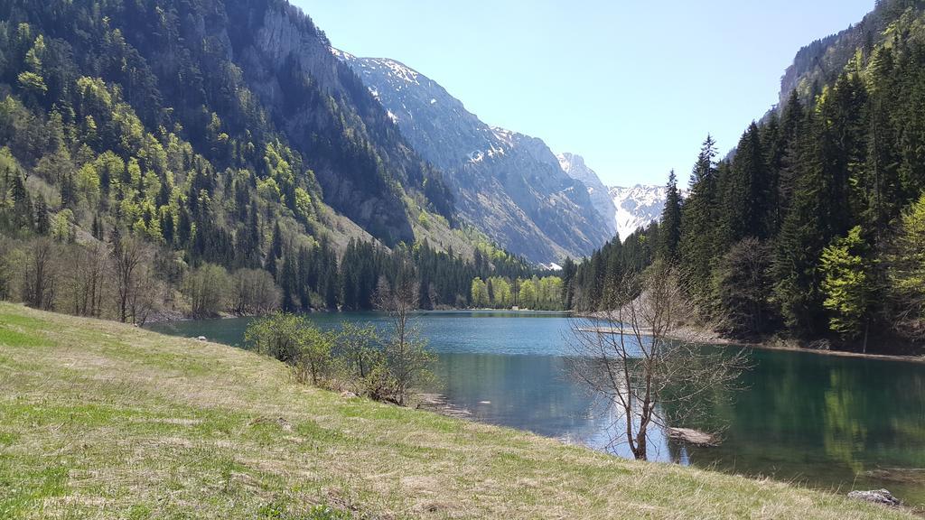 Žabljak City Center Apartments Bagian luar foto